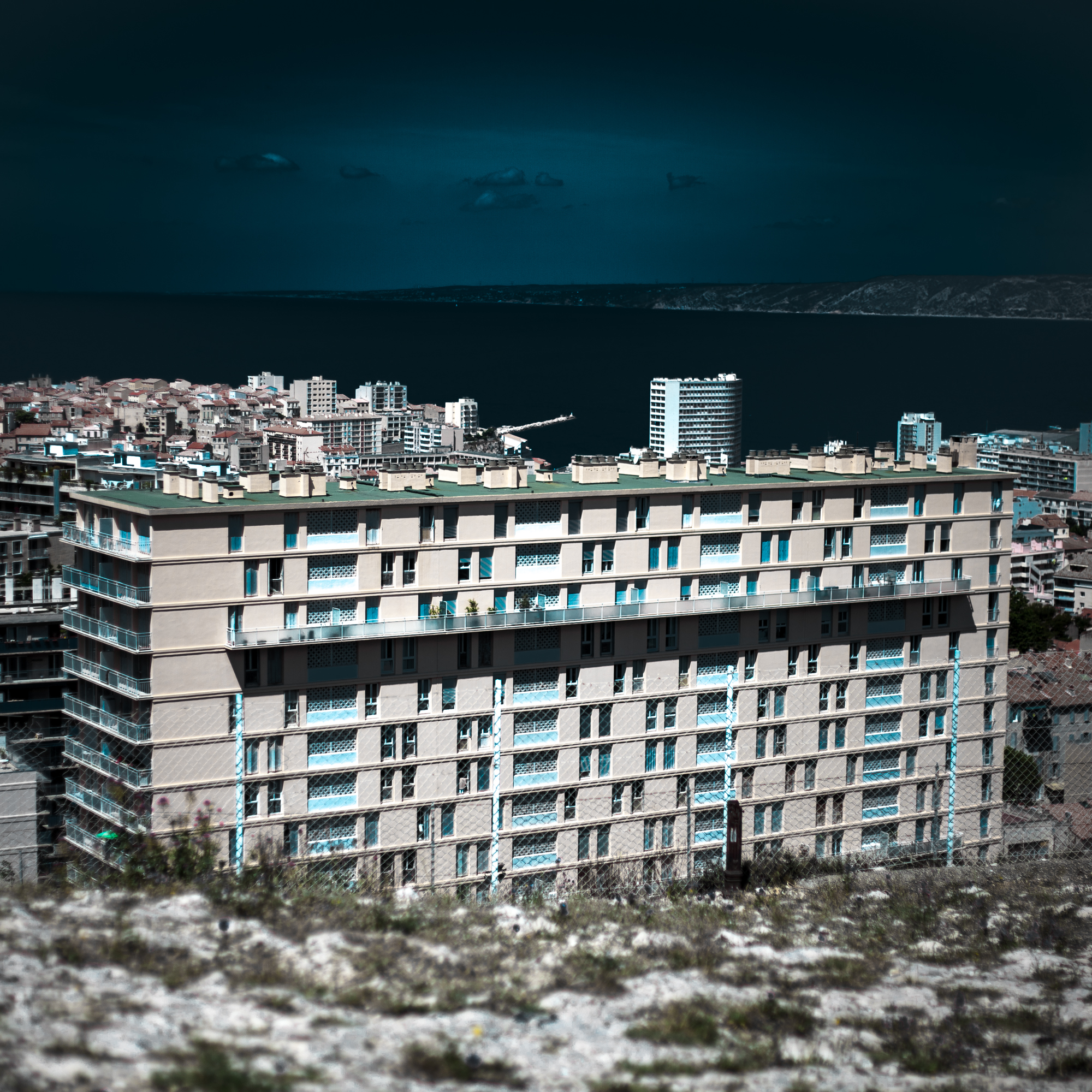 Rachel Bandit photographe Archi Weed