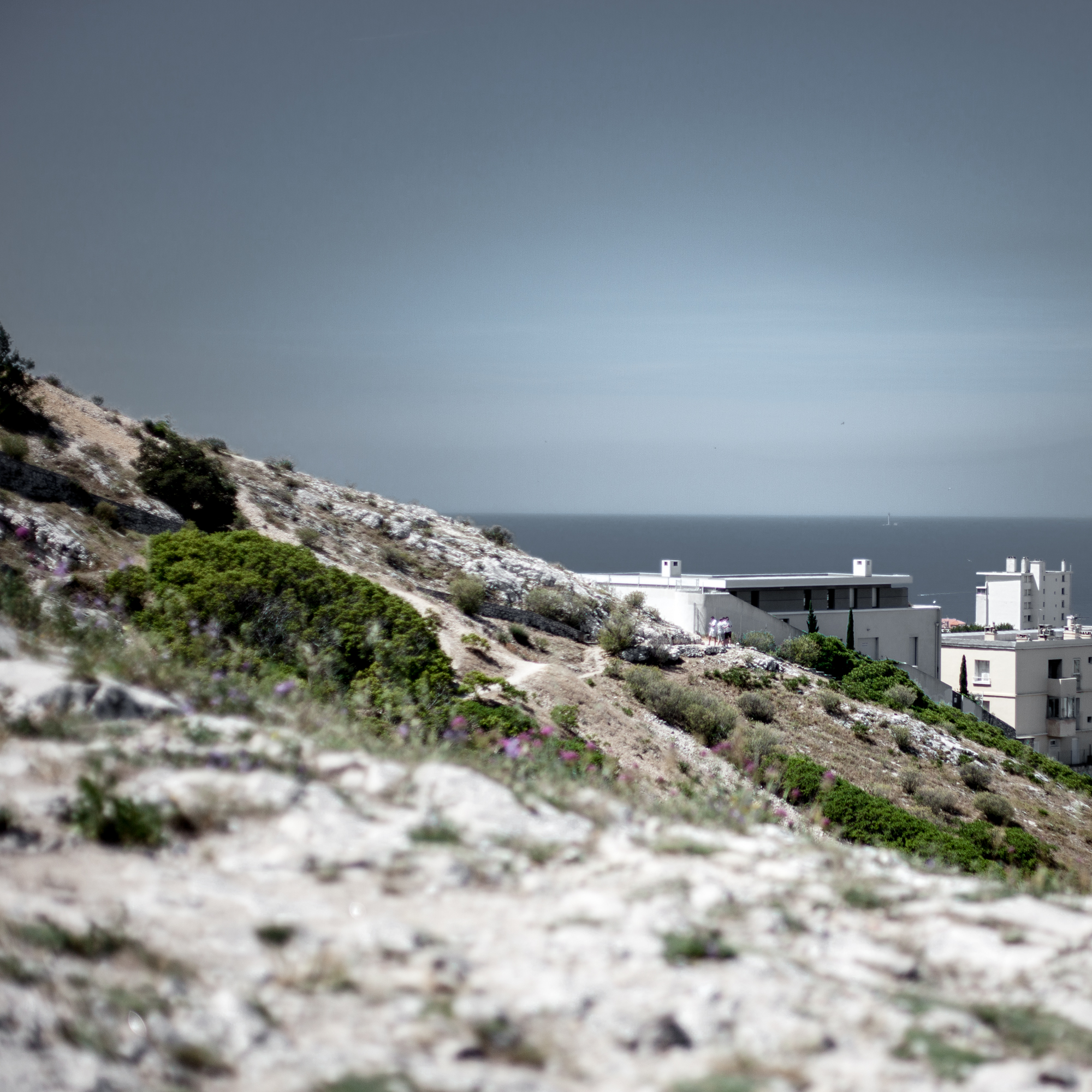 Rachel Bandit photographe Archi Weed