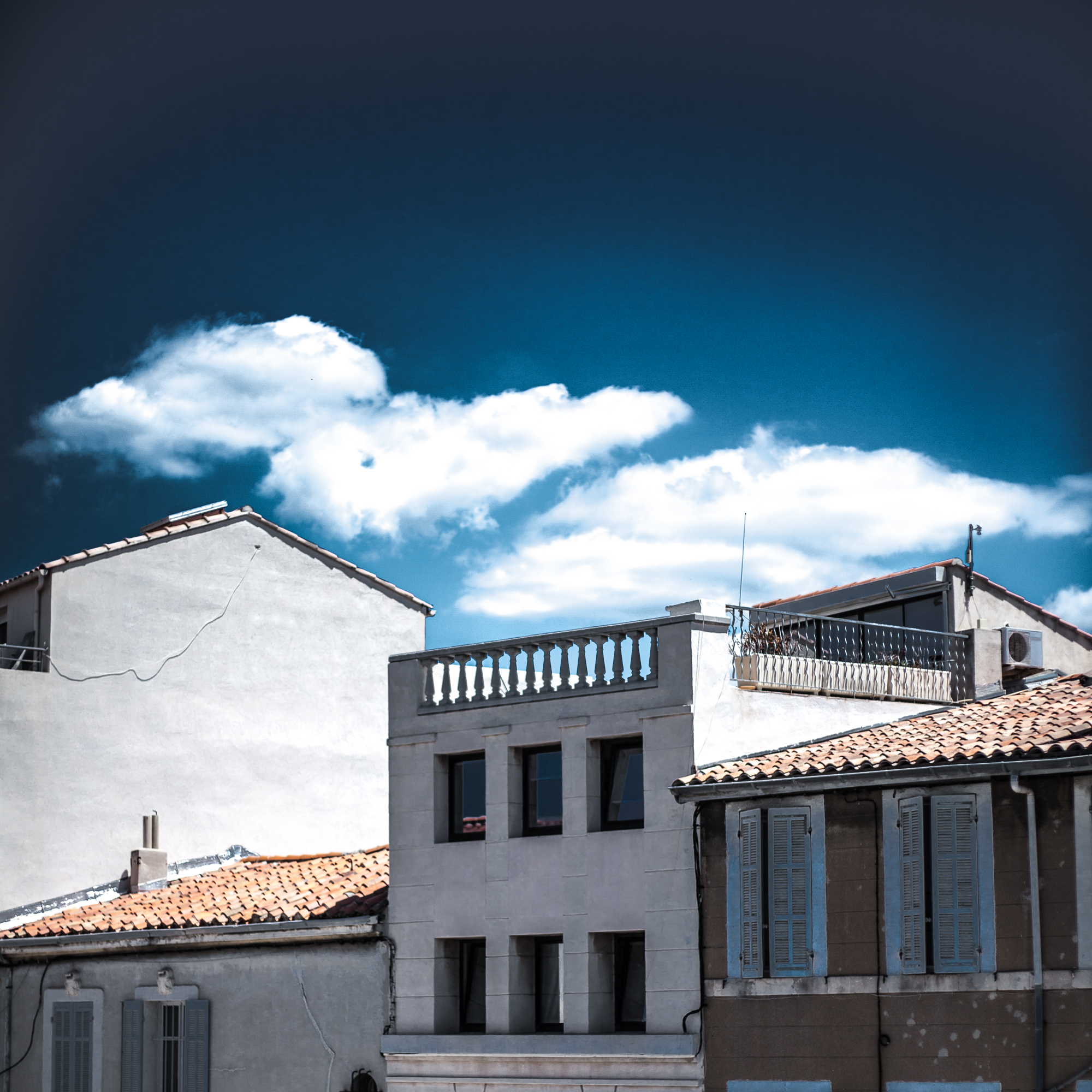 Rachel Bandit photographe Archi Weed