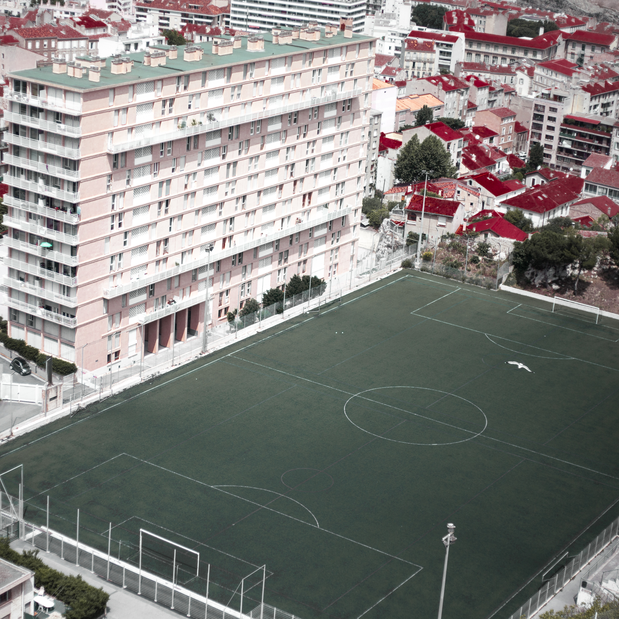 Rachel Bandit photographe Archi Weed