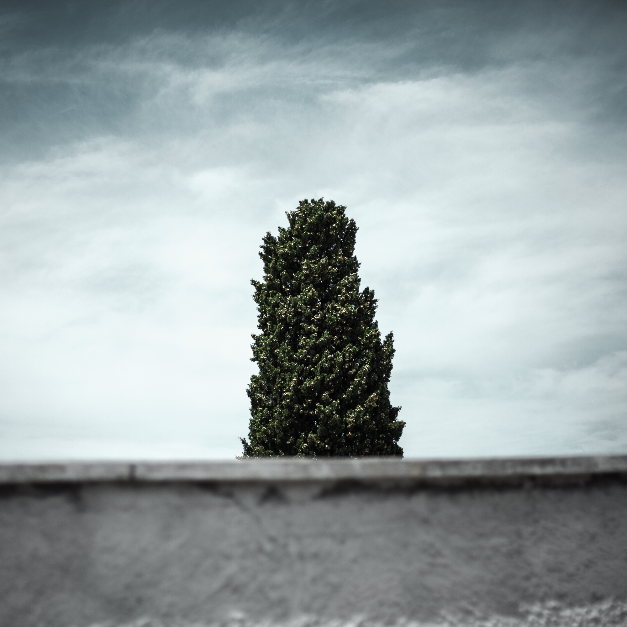 Rachel Bandit photographe Archi Weed