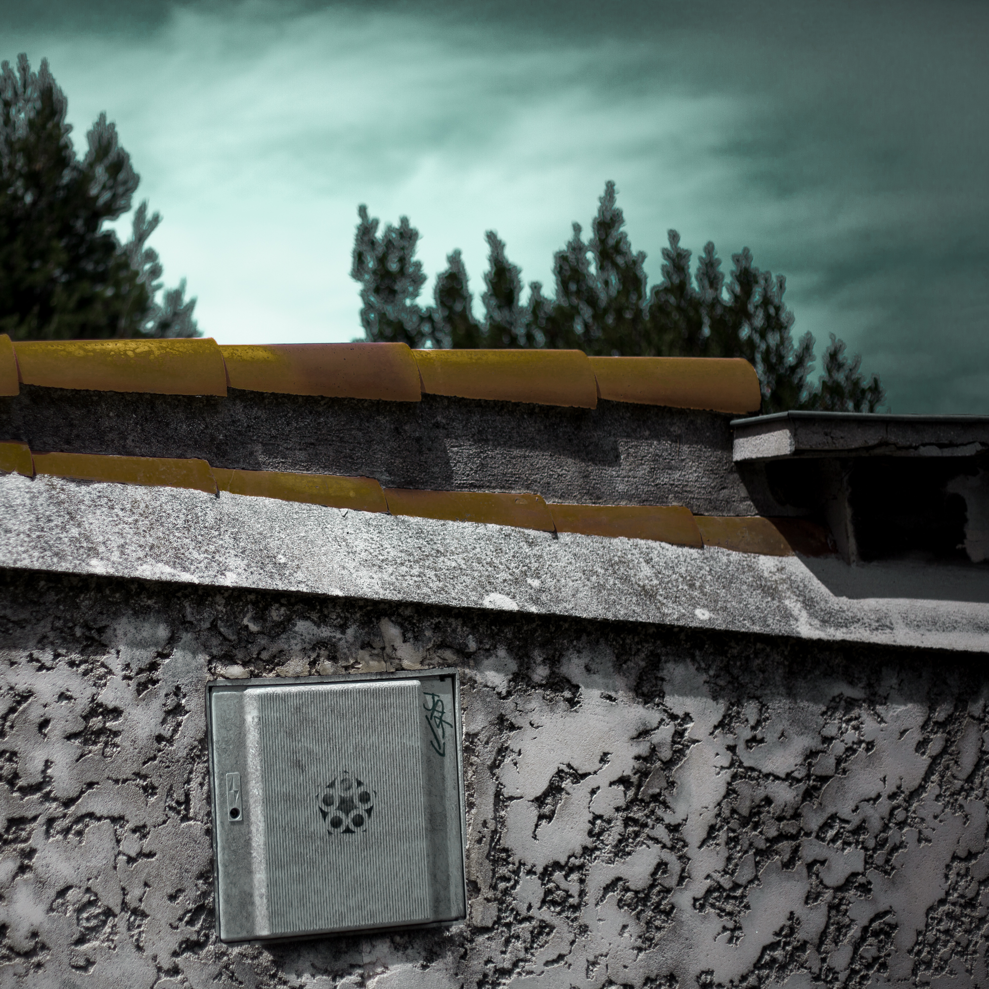 Rachel Bandit photographe Archi Weed