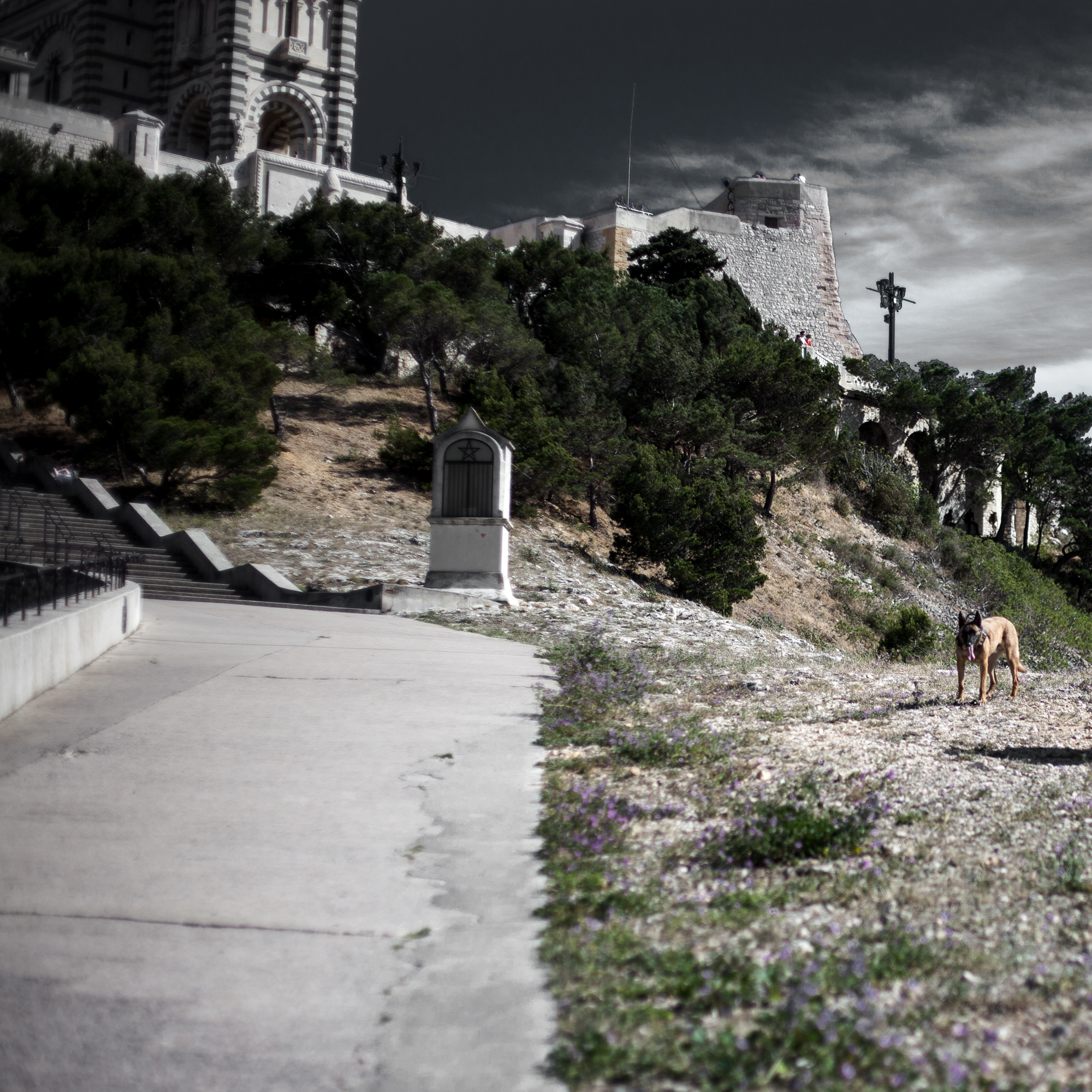 Rachel Bandit photographe Archi Weed