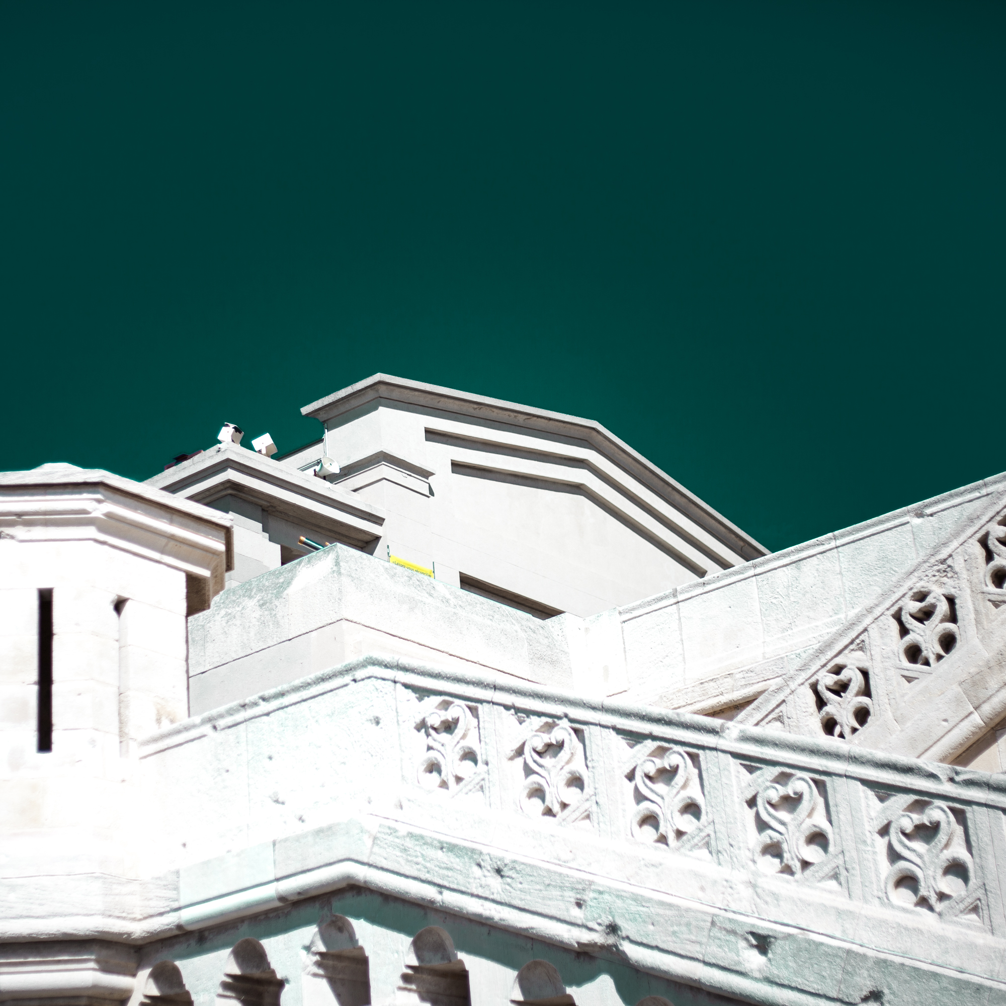 Rachel Bandit photographe Archi Weed