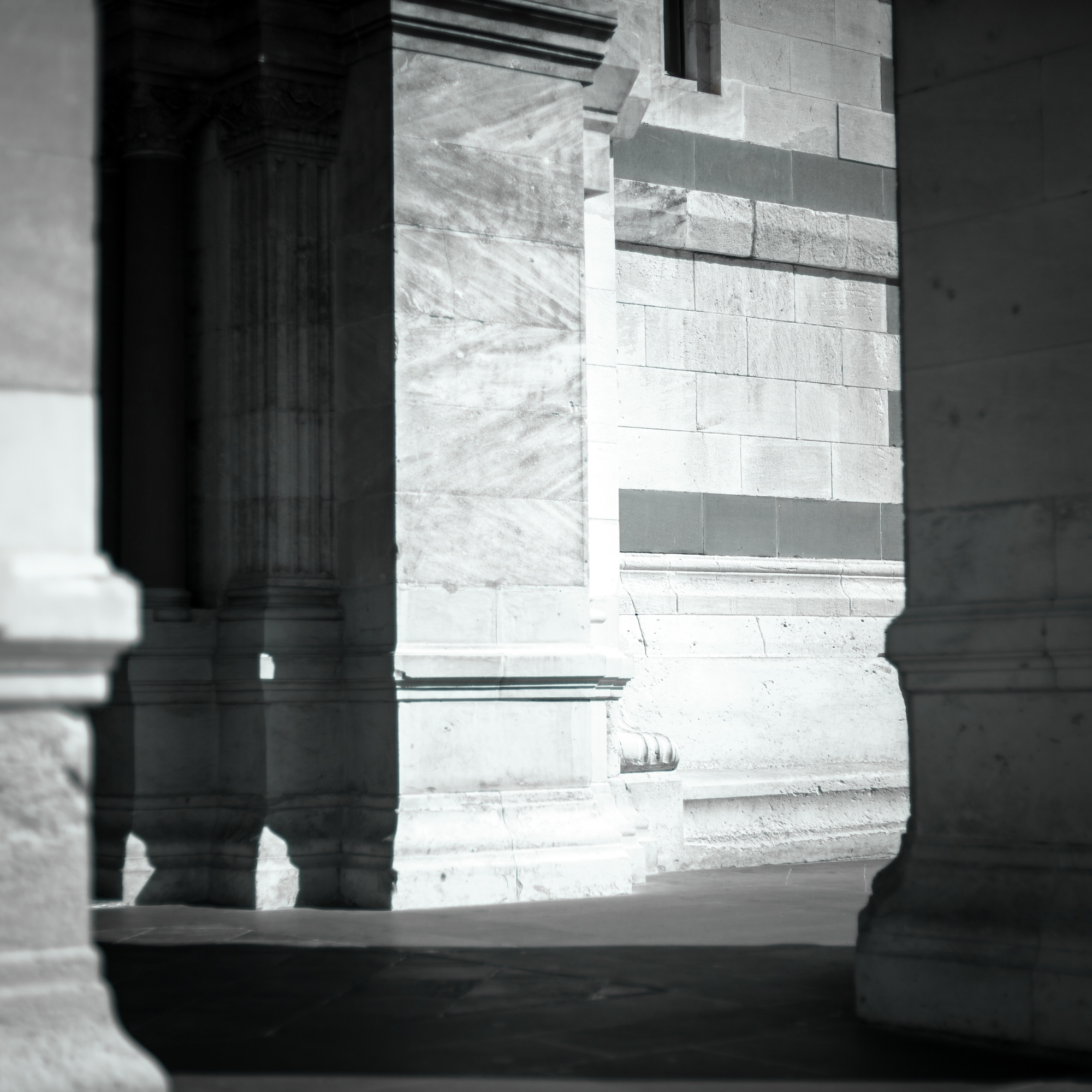 Rachel Bandit photographe Archi Weed