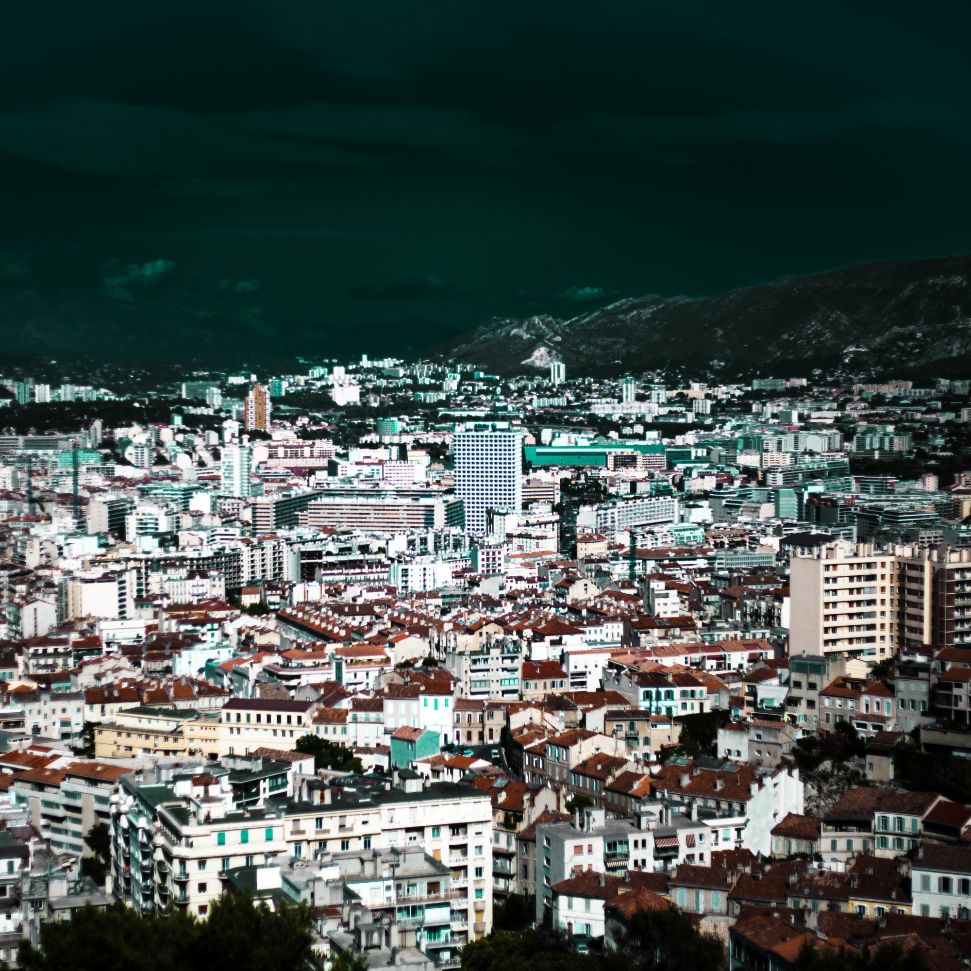 Rachel Bandit photographe Archi Weed