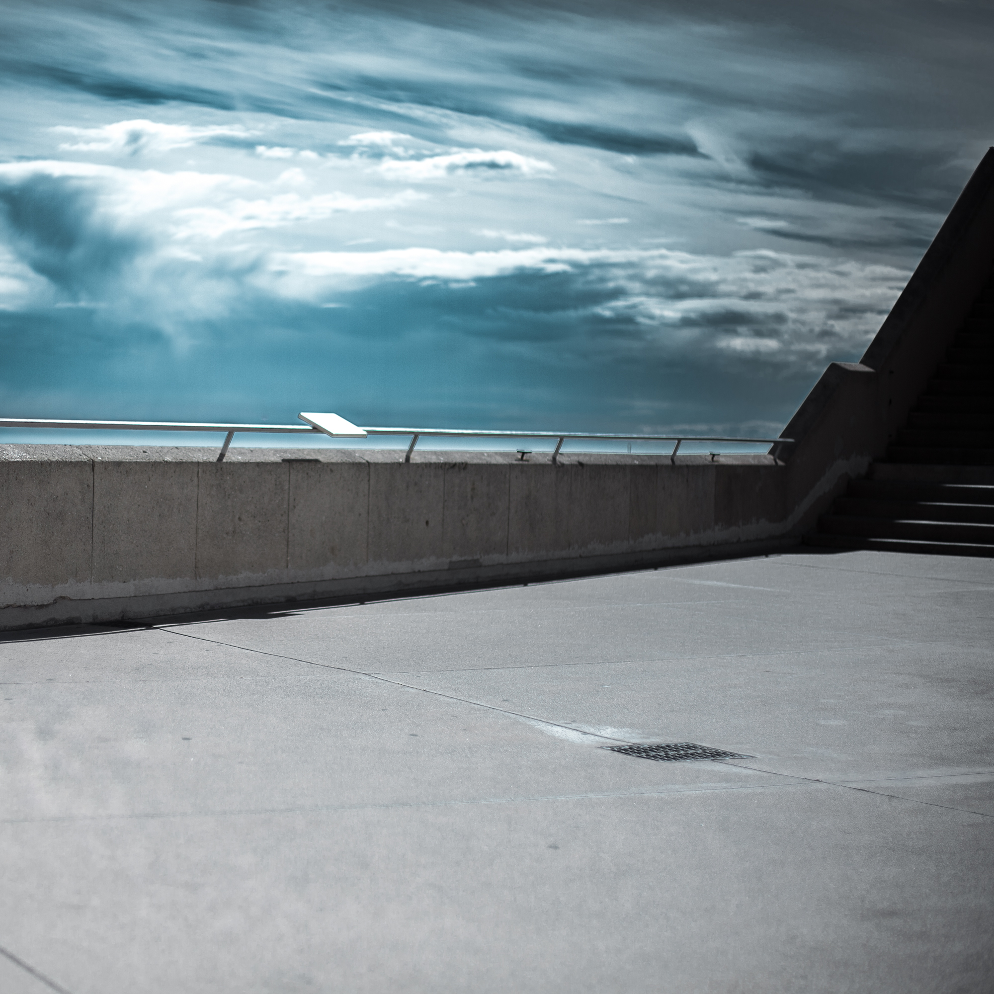 Rachel Bandit photographe Archi Weed