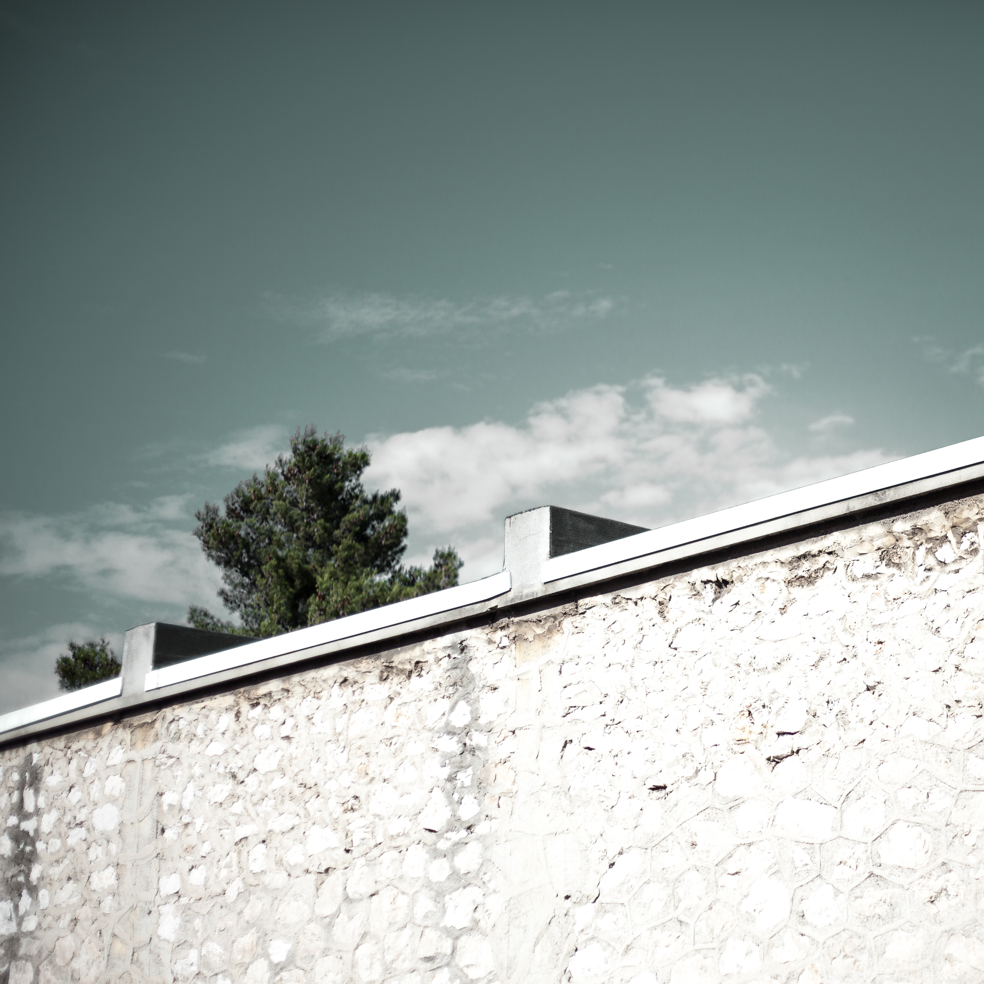 Rachel Bandit photographe Archi Weed