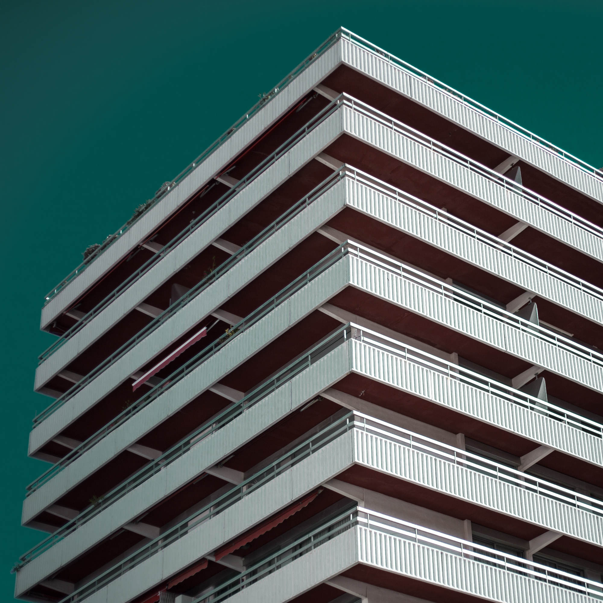 Rachel Bandit photographe Archi Weed