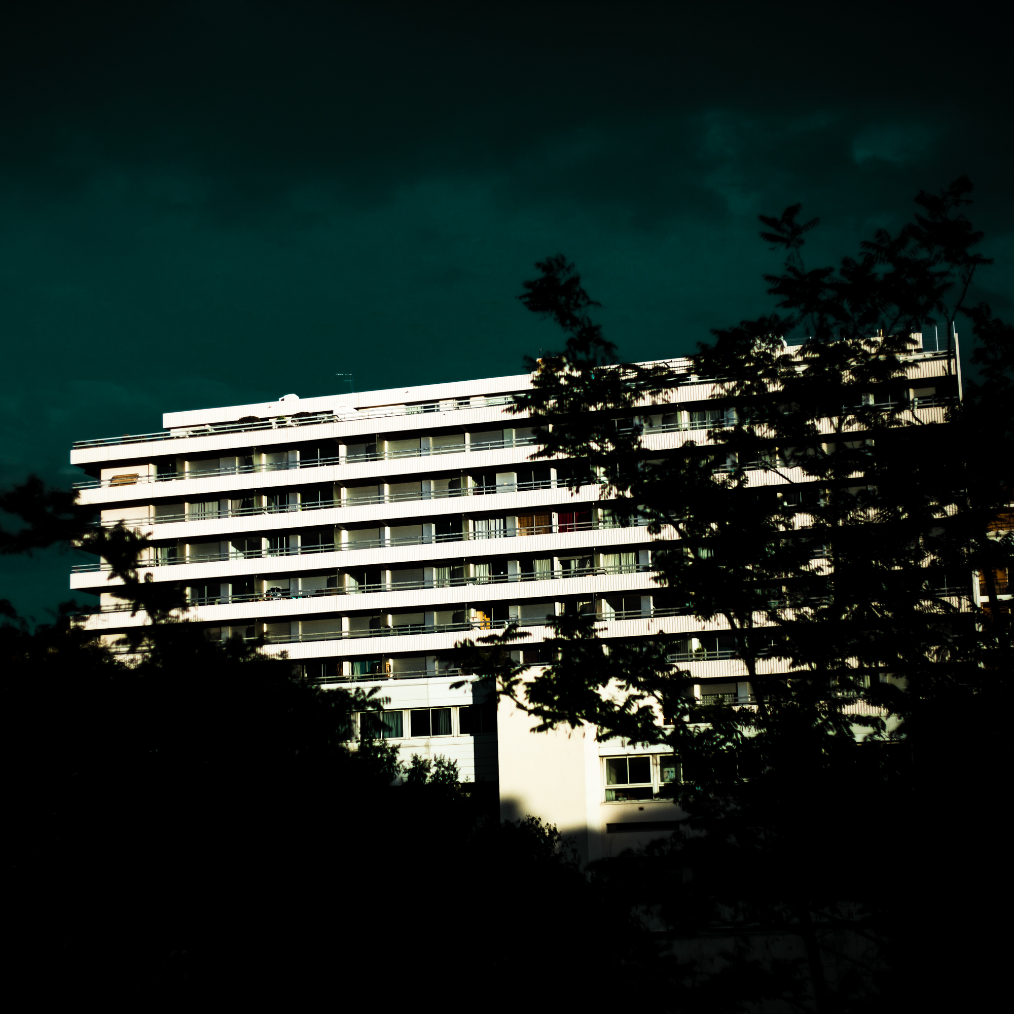 Rachel Bandit photographe Archi Weed