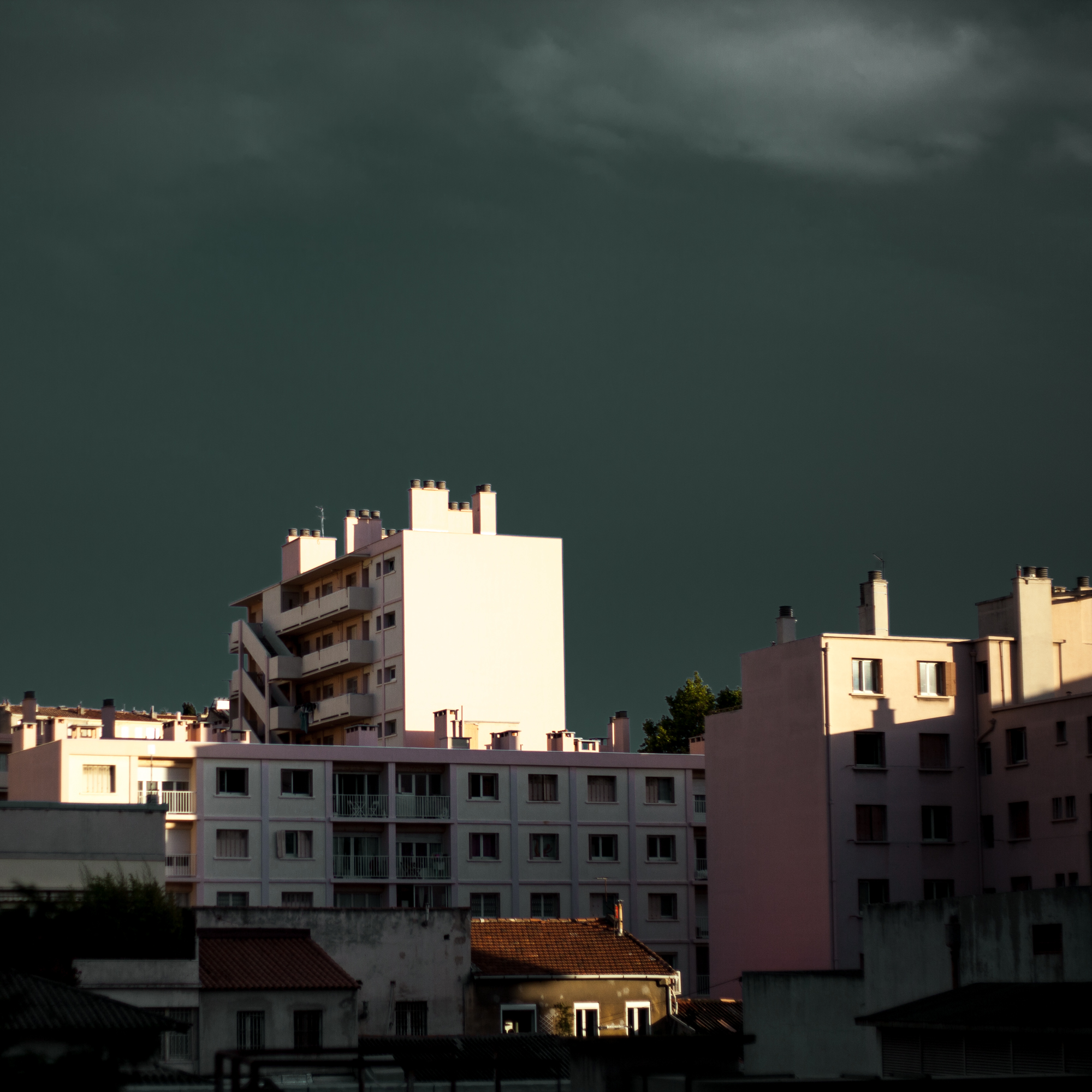 Rachel Bandit photographe Archi Weed