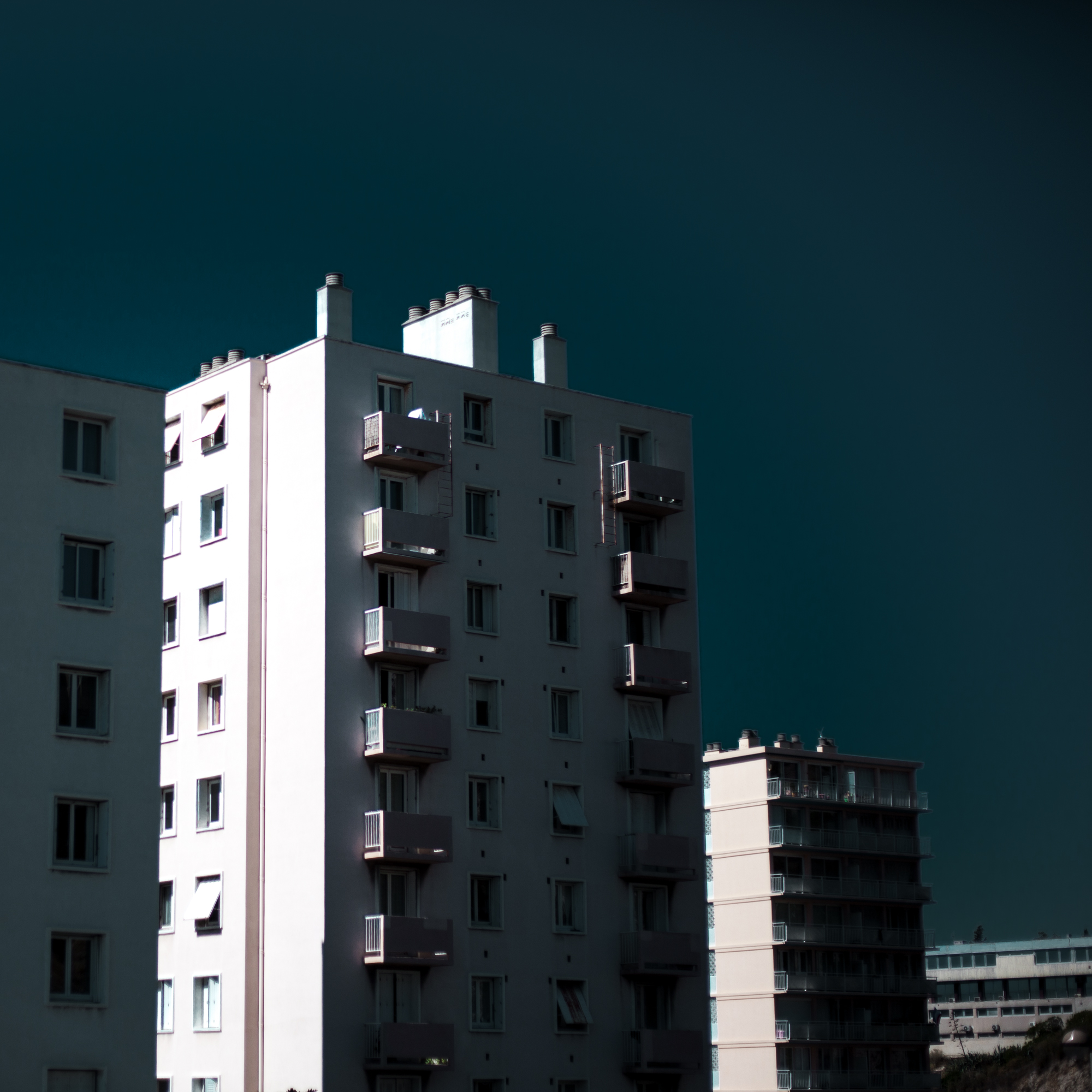 Rachel Bandit photographe Archi Weed