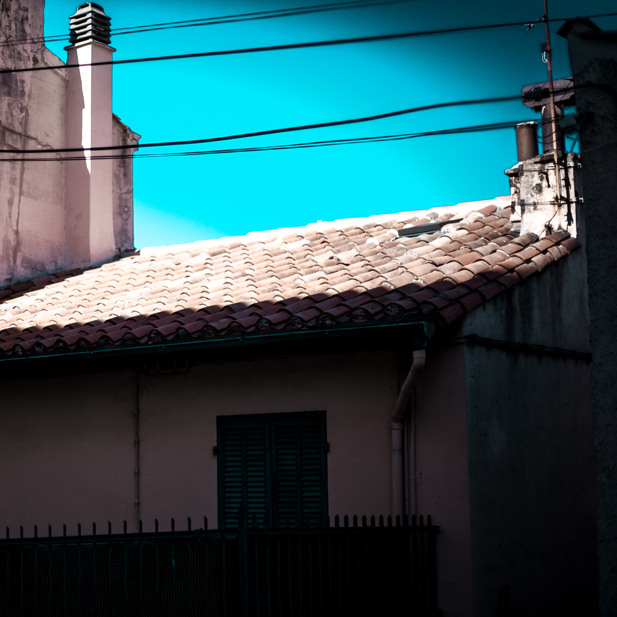 Rachel Bandit photographe Archi Weed