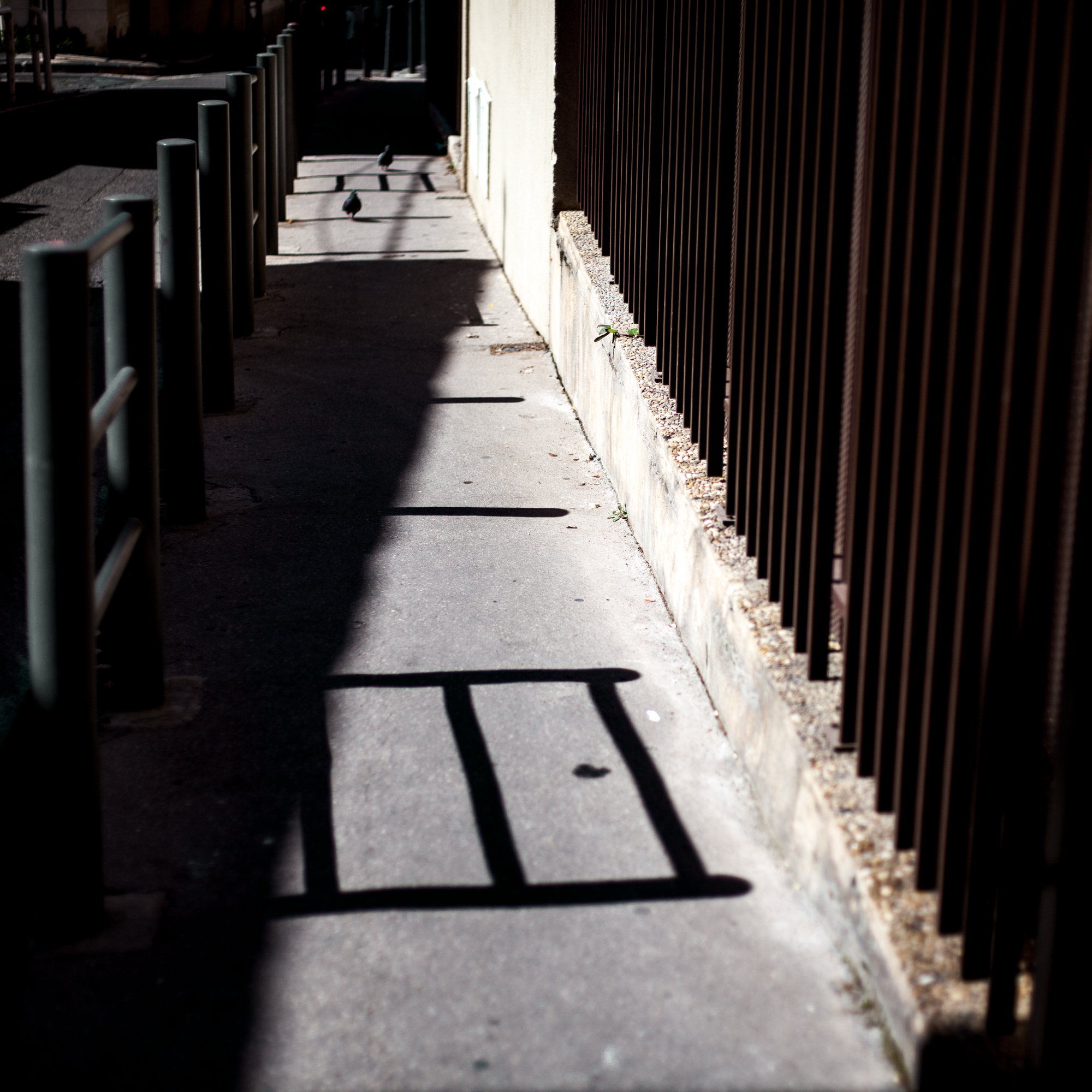 Rachel Bandit photographe Archi Weed