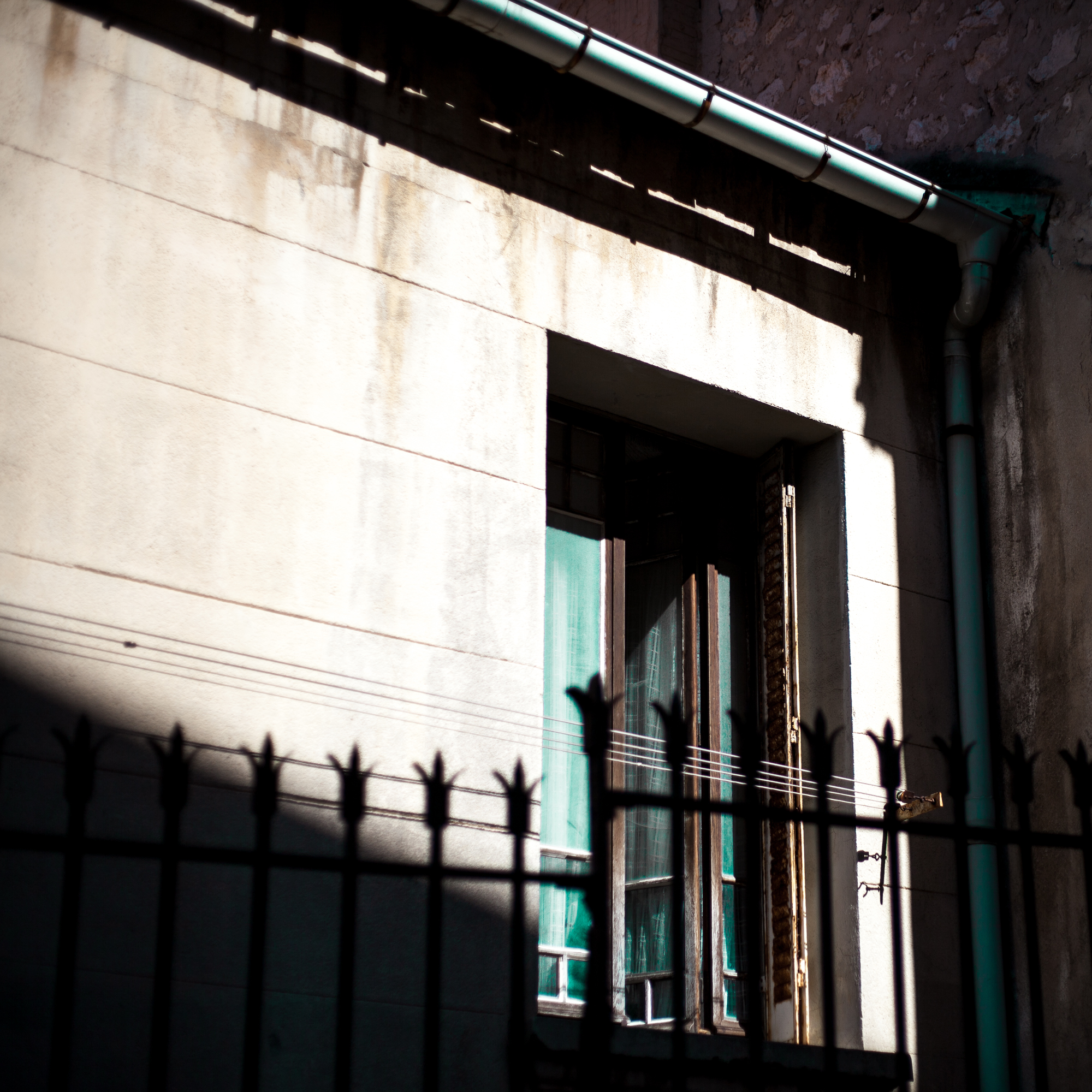 Rachel Bandit photographe Archi Weed