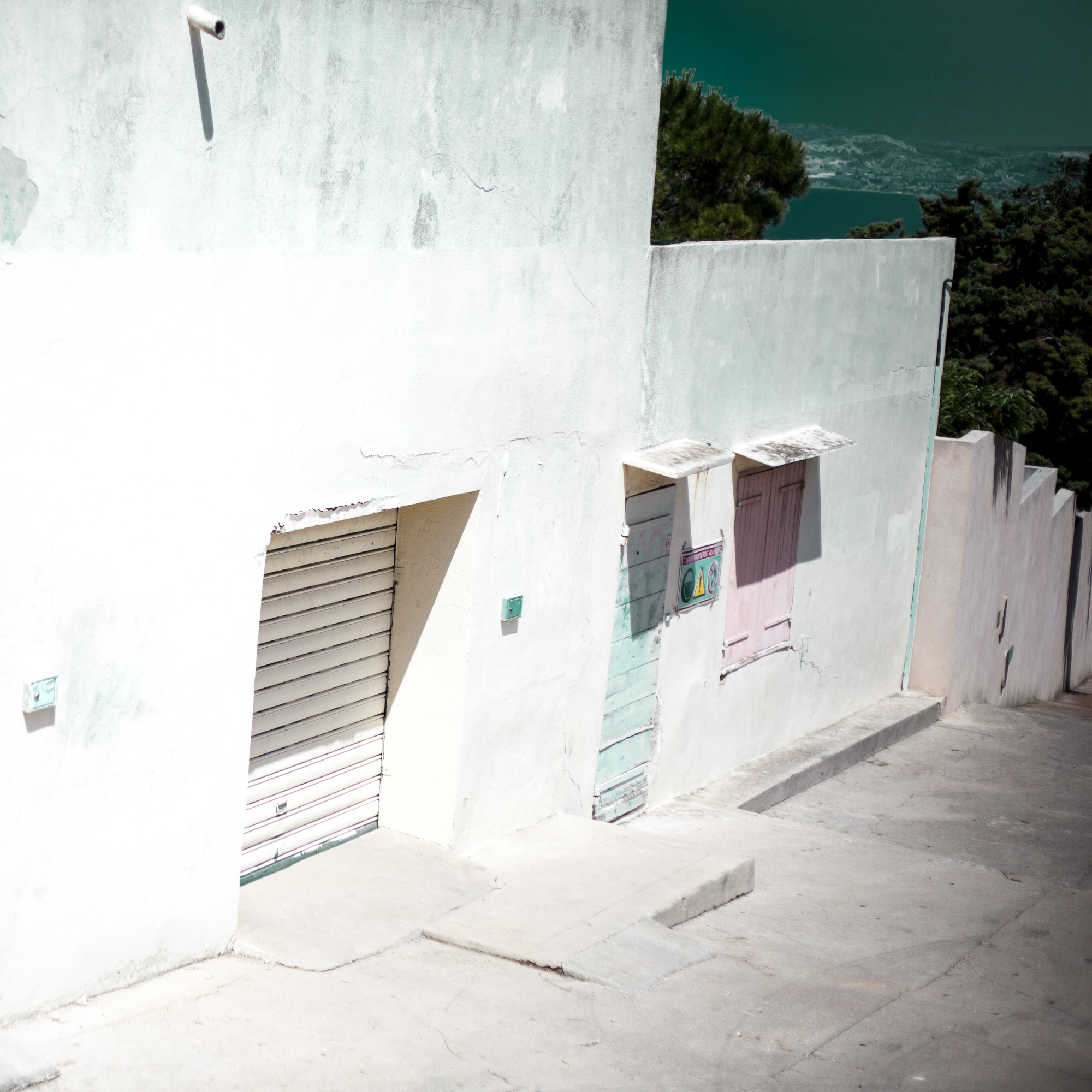 Rachel Bandit photographe Archi Weed