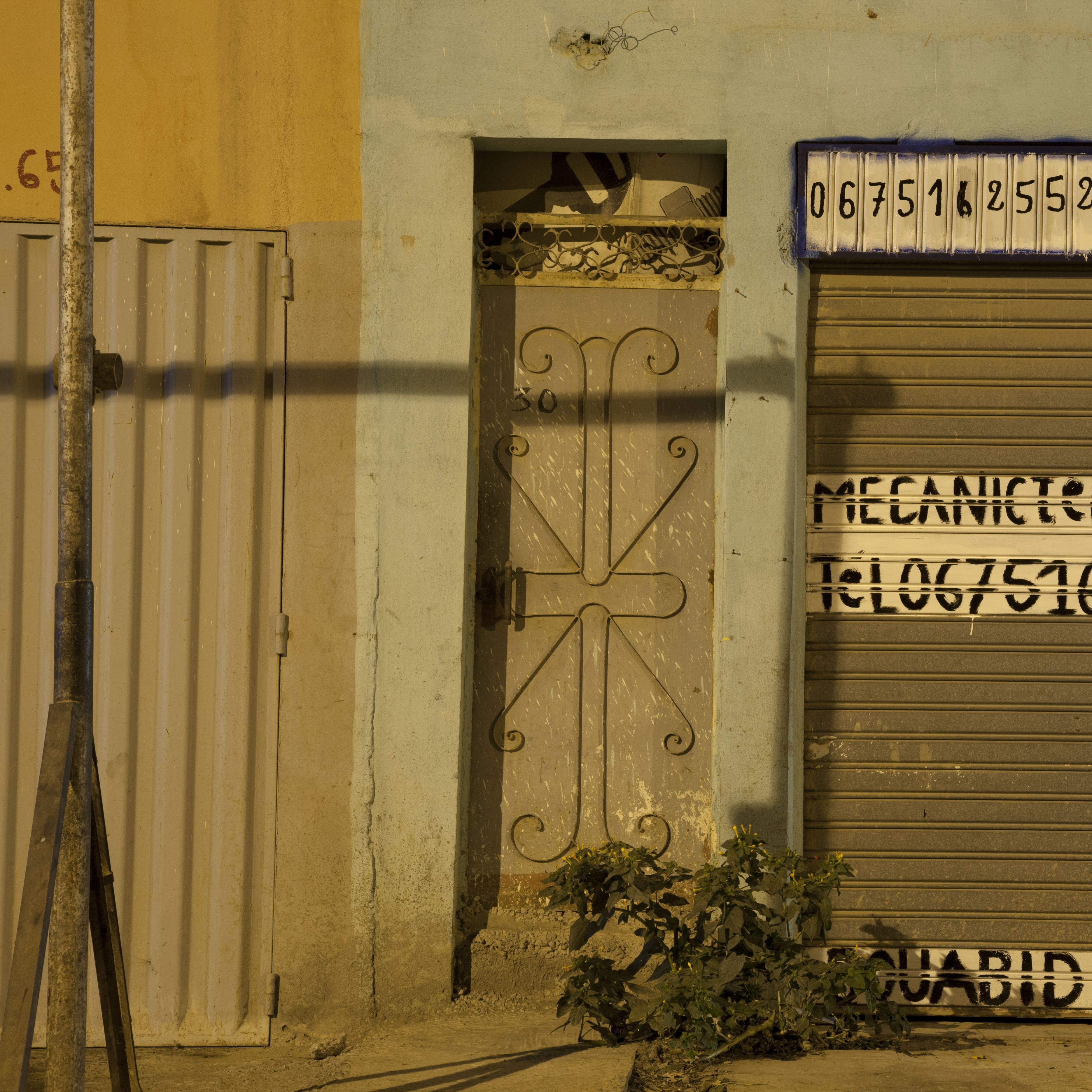 Rachel BANDIT photographe cavale