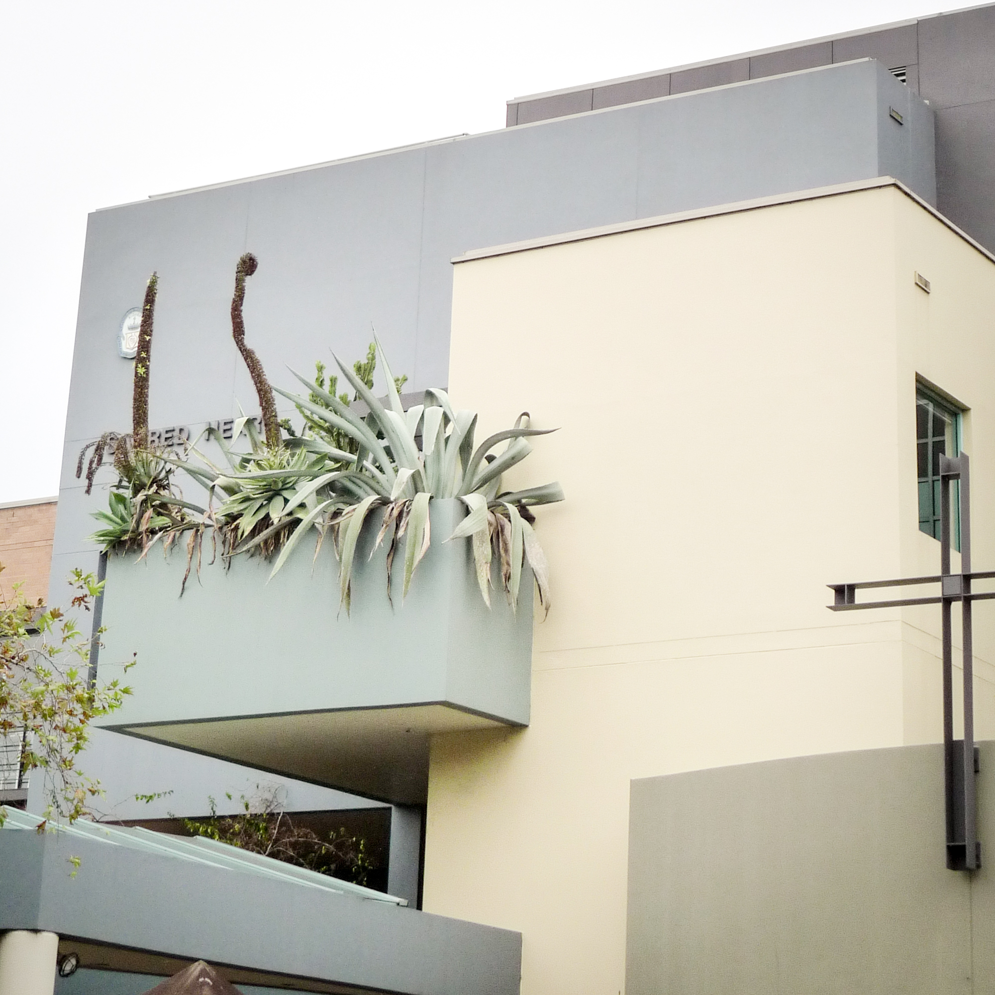 rachel bandit photography architecture