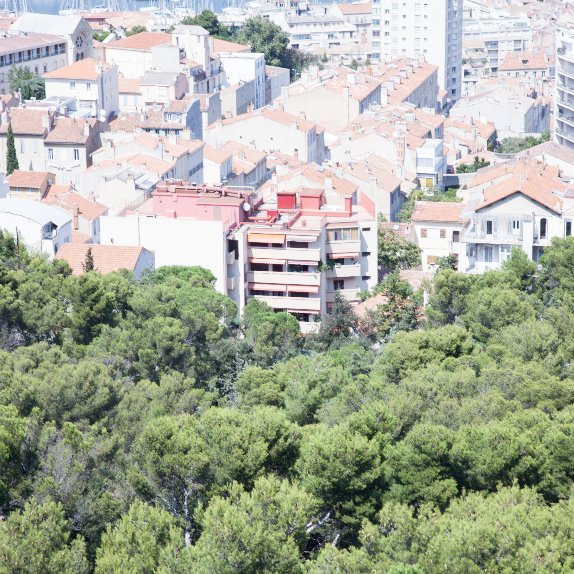 rachel bandit photography Not a tourist