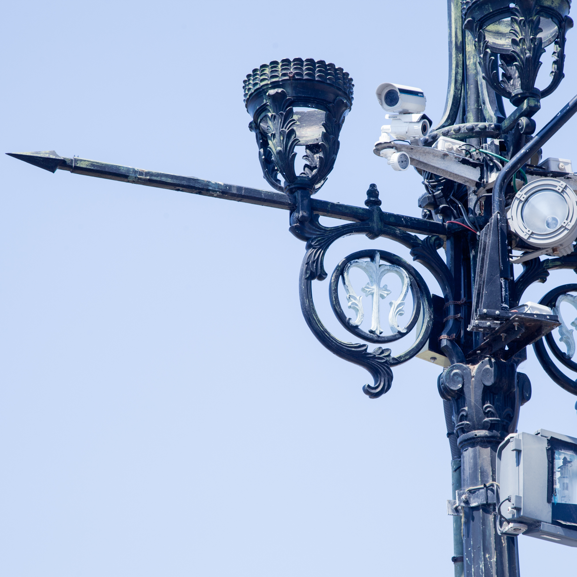 rachel bandit photography Not a tourist