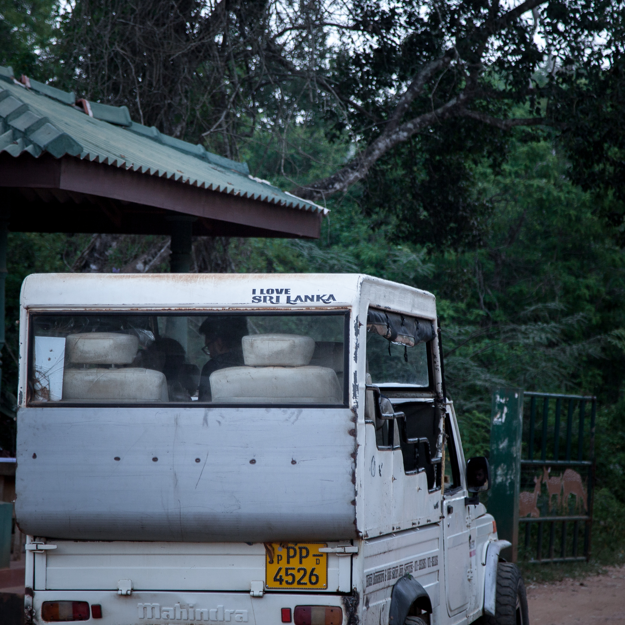 SAFARI